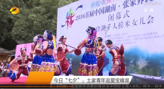英短猫好养吗，饲养英短猫要注意什么